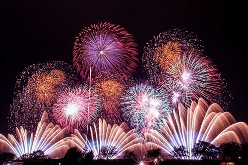 Hanoi capital cancels fireworks display on lunar New Year’s Eve